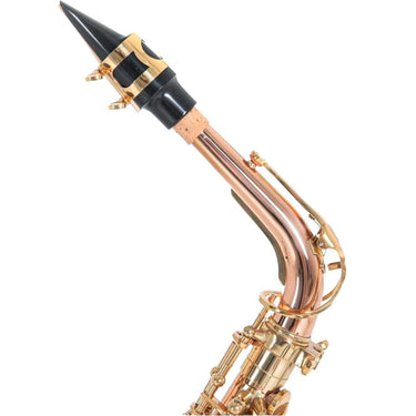 Sax Alto Roy Benson Bronce Llaves Laqueadas, As-202g